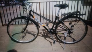 Bicicleta VENETO CABELLO Paseo