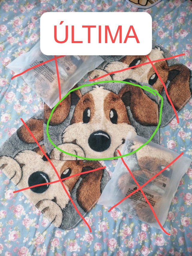 REGALO 200€ en alfombras con compras