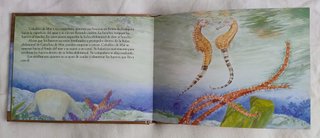 Lote de 3 cuentos de animales del mar