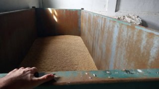 Remolque bañera CAMARA