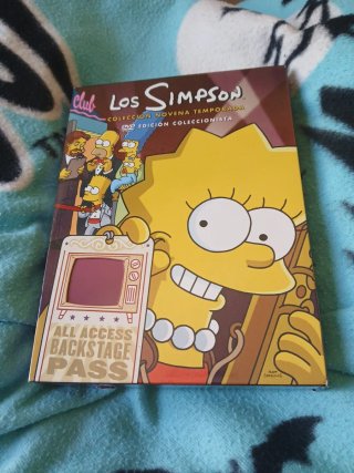 Los Simpson DVD Novena Temporada Edición Coleccion
