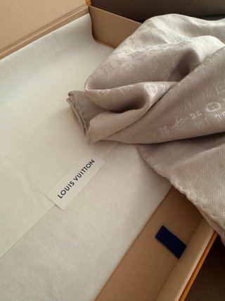 Scialle Louis Vuitton