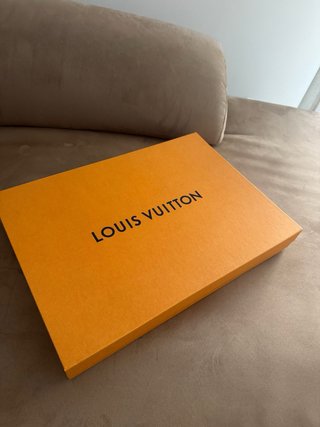 Scialle Louis Vuitton