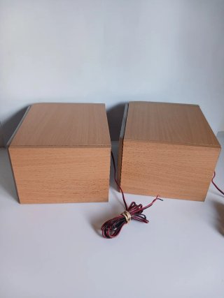 Altavoces Sanyo Madera 20W