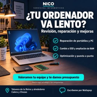 Reparación y optimización de ordenadores.