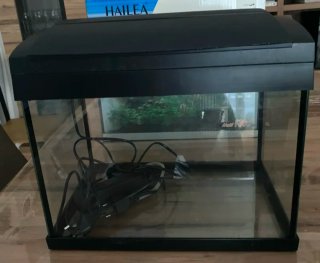 Acuario Hailea F20