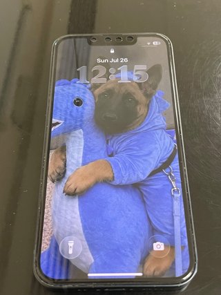 Apple iPhone 13 mini