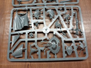 Akhelian / Volturnos Idoneth Deepkin Warhammer AOS