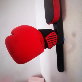 Aparato dominadas Domyos + saco + guantes