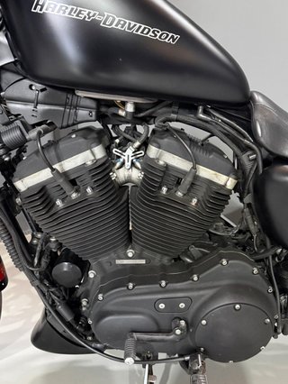 Harley Davidson Sportster Iron