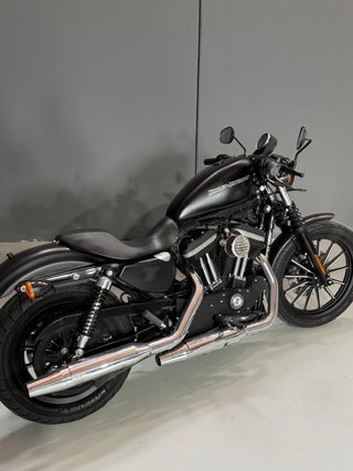 Harley Davidson Sportster Iron