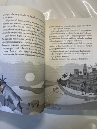 libro La canción de Amina