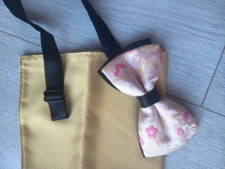 Pajarita y pañuelo de bolsillo elegante