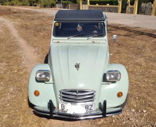 Citroen AMI 1994