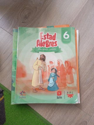 Estad alegres 6 primaria sm