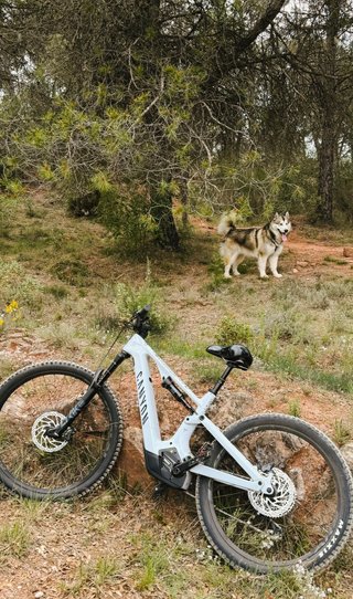 Canyon Spectral:ON CF 7 e-Bike