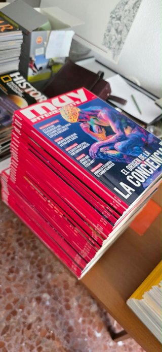 Lote de revistas Muy Interesante