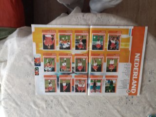 Álbum Cromos Mundial Francia 98 DS  Falta el N 65