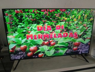 Samsung QLED 50 con líneas horizontales