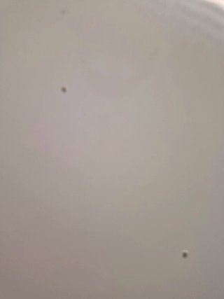 Mesa y 4 Sillas de Metacrilato IKEA