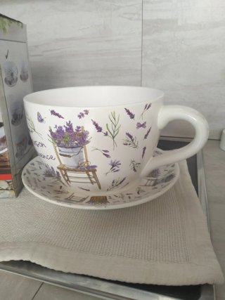 Macetero de Cerámica , con diseño de Taza y plato
