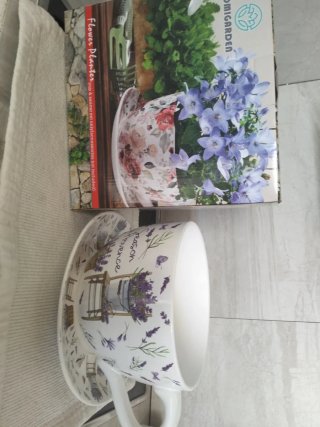 Macetero de Cerámica , con diseño de Taza y plato