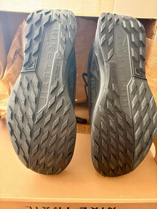 Nike pegasus trail 5 gtx