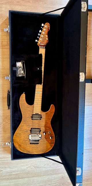 ESP E-II ST-2-Tiger Eye