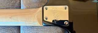 ESP E-II ST-2-Tiger Eye
