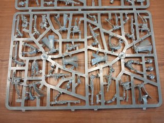 Skitarii Vanguard Rangers Mechanicus Warhammer 40k