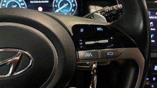 Hyundai Tucson 1.6 TGDI 169kW (230CV) HEV Maxx Auto
