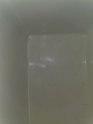 Regalo Nevera frio azul y amarilla