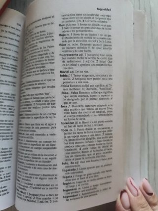 Diccionario de lengua española esencial