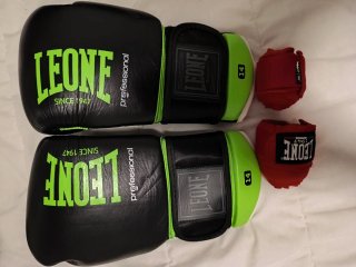 Guantes de Boxeo Leone 14oz