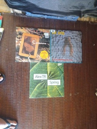 Lote de 3 Discos Vinilo Remember