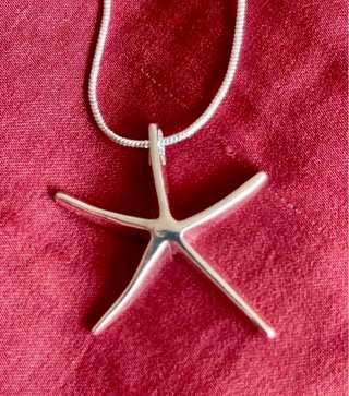 Colgante de plata de 925