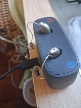 Audífonos Recargables