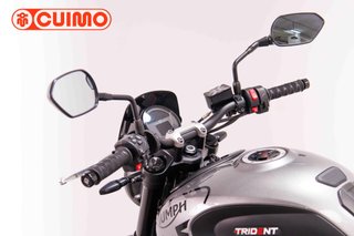 TRIUMPH TRIDENT 660