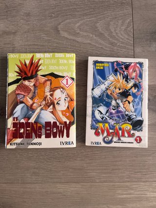 Lote comics manga