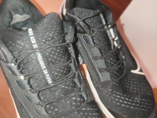 Zapatillas Nike Air Pegasus 38 FlyEase