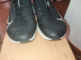 Zapatillas Nike Air Pegasus 38 FlyEase