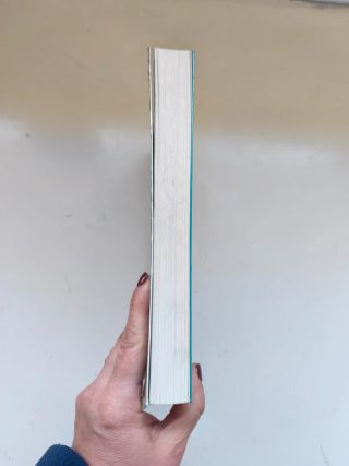 Tungsteno Marcello Quintanilha cómic tapa dura