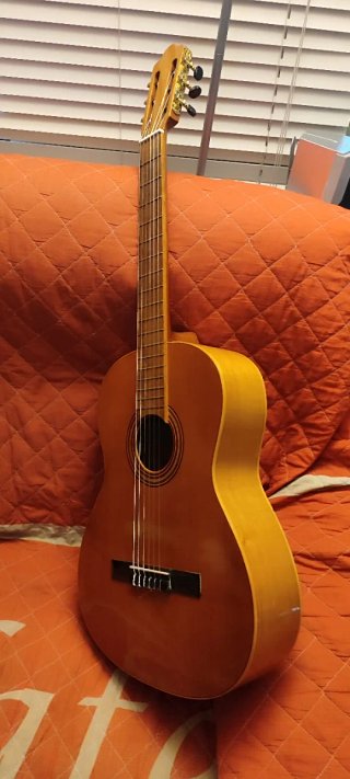 Guitarra flamenca Francisco Esteve