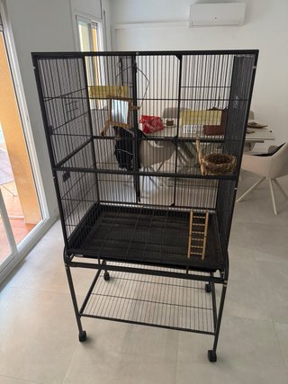 Grande gabbia per uccelli