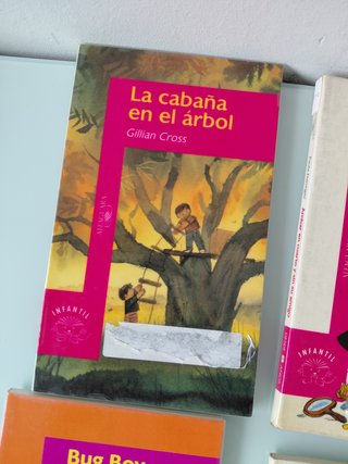 Lote - Libros Alfaguara (8 años)