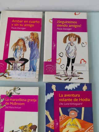 Lote - Libros Alfaguara (8 años)