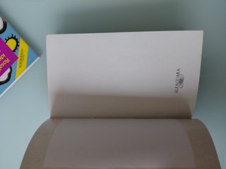 Lote - Libros Alfaguara (8 años)