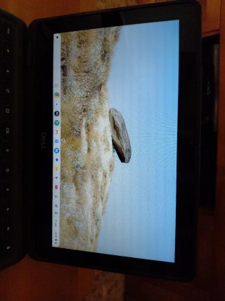 Chromebook Dell 3100 2 en 1
