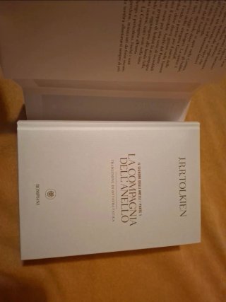 La compagnia dell'anello. Il Signore degli anelli.
