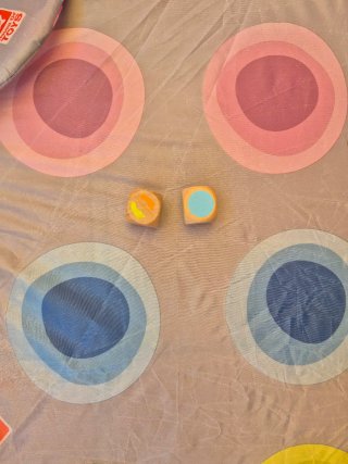 Juego Infantil Playland Estilo Twister